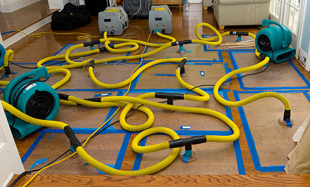 Professional Basement Flood Cleanup technician working in Pioneer, CA